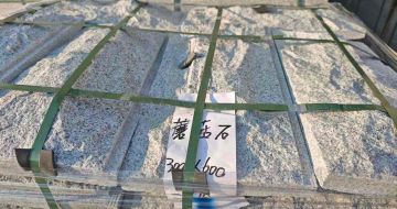 临沂芝麻白蘑菇石，自然面